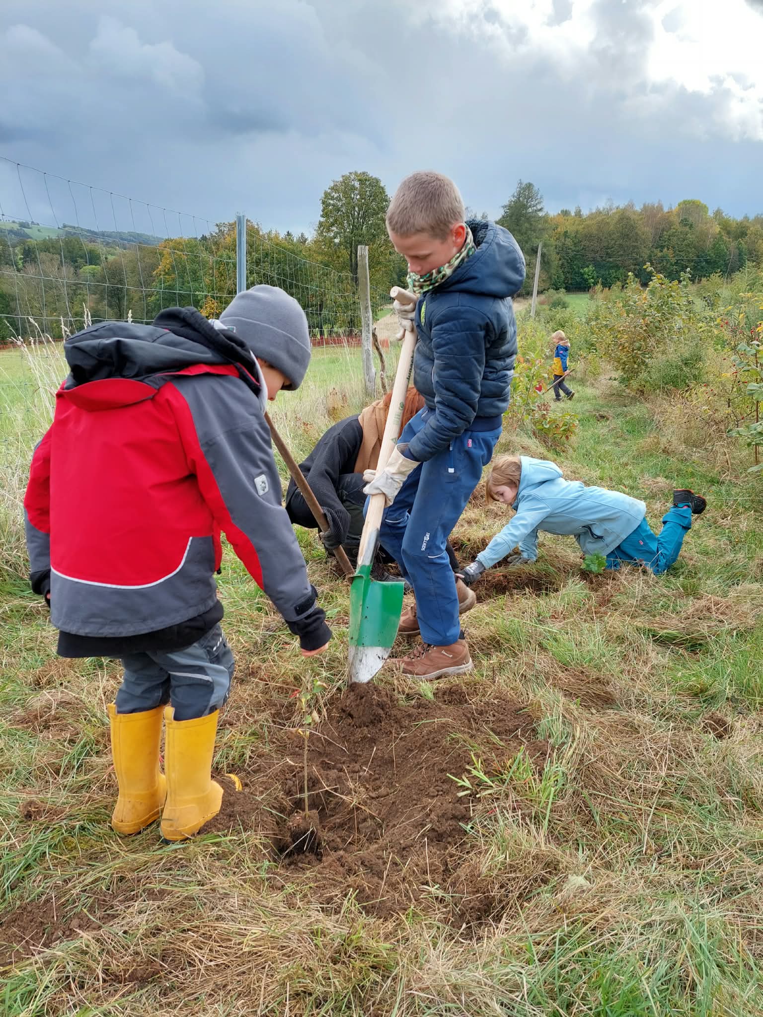 JuNa/NAJU HerbstCAMP „Abenteuer im Osterzgebirge“ | 9. bis 12. Oktober 2026