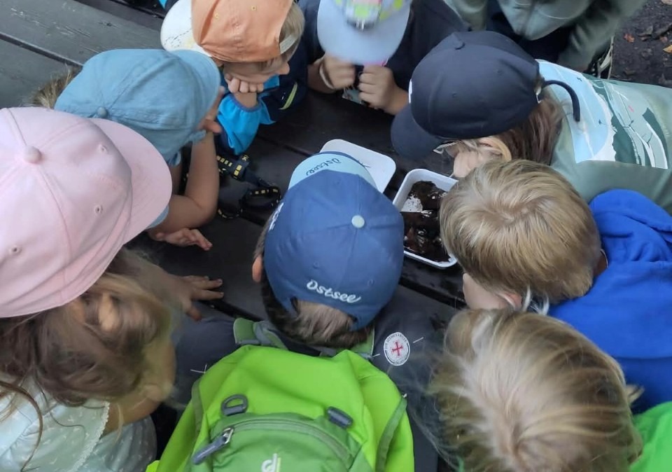JuNa Praxistag „Unser Freund, der Feuersalamander“ | August 2026